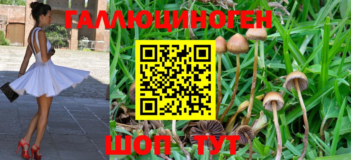 Галлюциногенные грибы Psilocybe  Псилоцибиновые грибы Psilocybe  наркота  Вход с VPN  Фролово 
