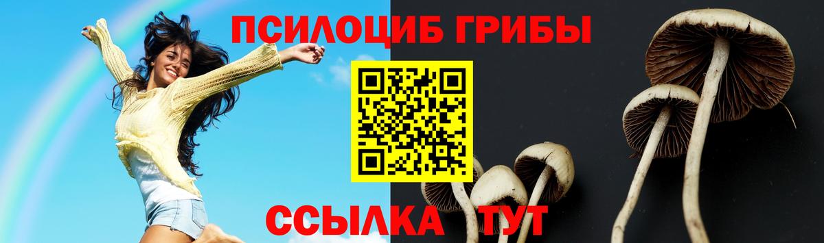 Галлюциногенные грибы GOLDEN TEACHER Фролово